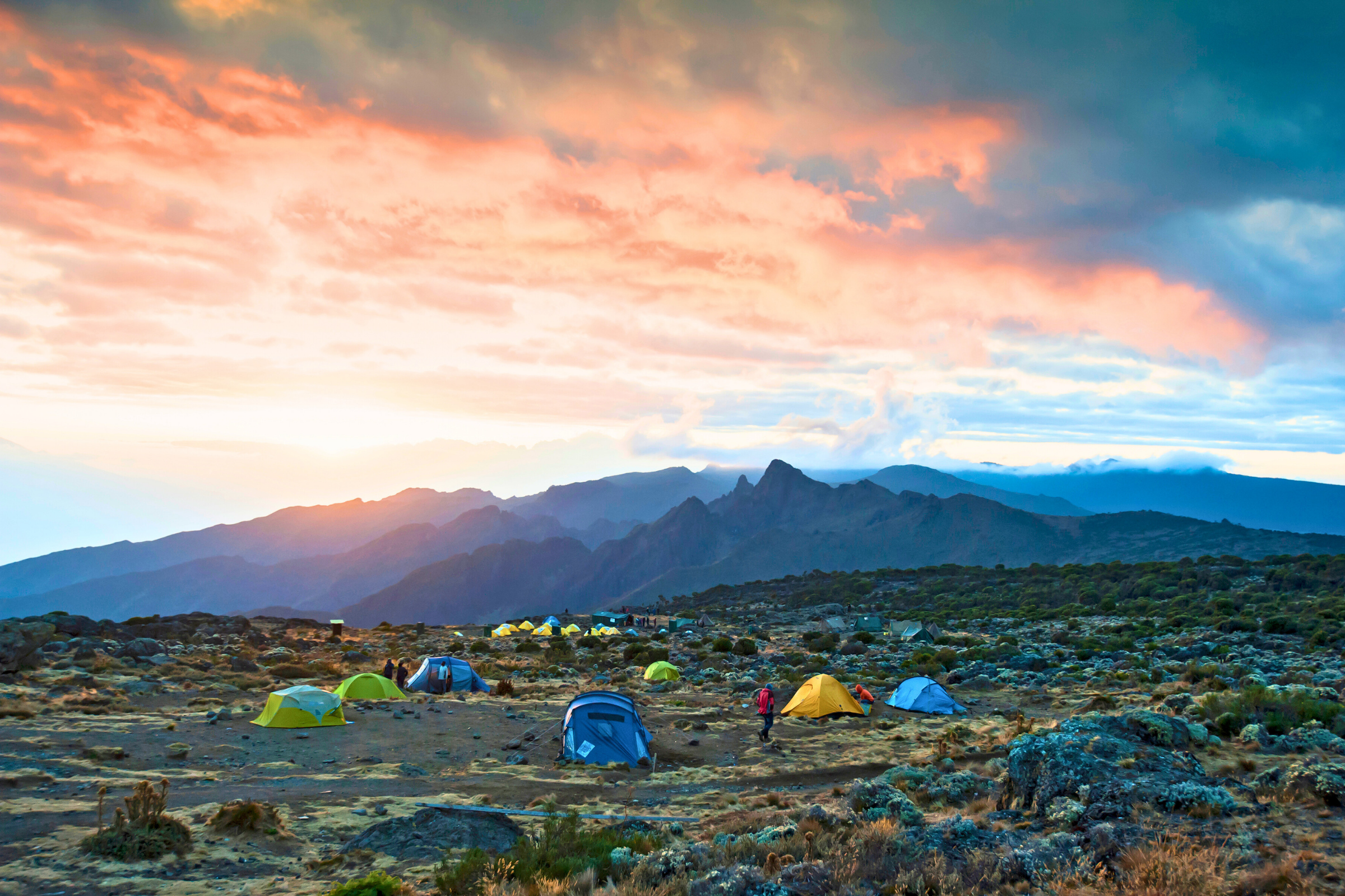 mti mkubwa camp (2).webp